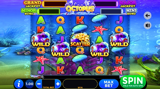 Octopus