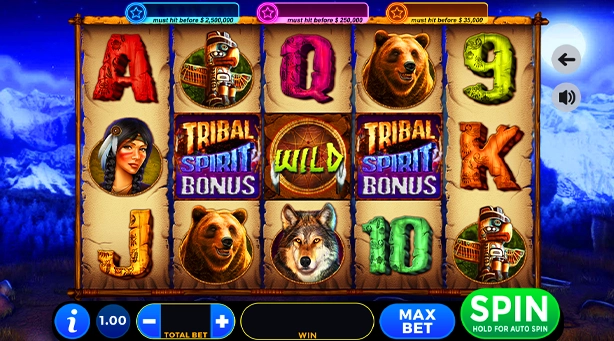Tribal Spirit