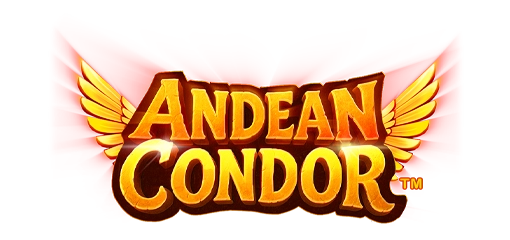 Andean Condor